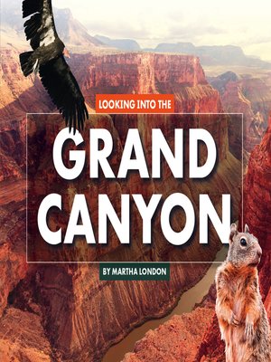cover image of Looking Into the Grand Canyon